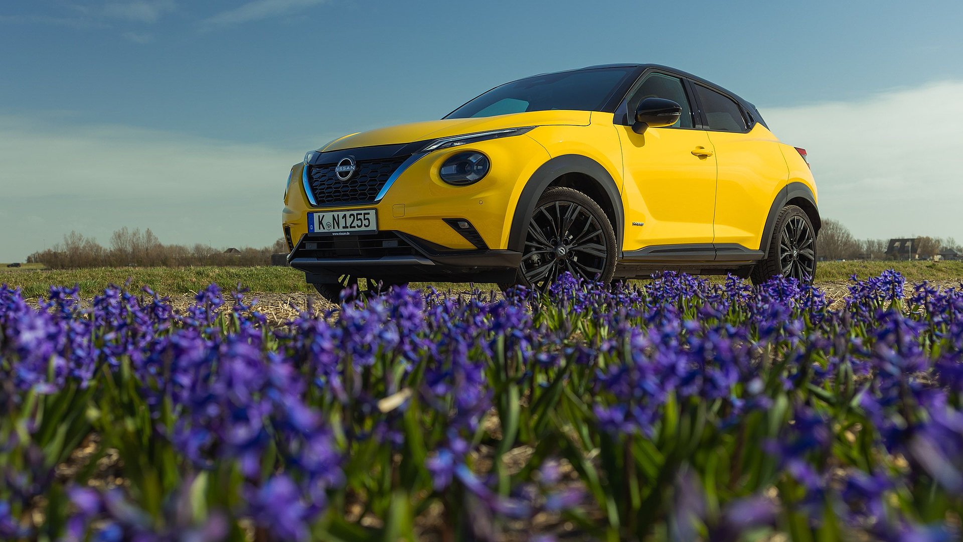 Nissan Juke Aktion Juke Rabatte Juke Aberkauf